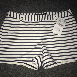 Brand new with tags: Blue and white stripe shorts